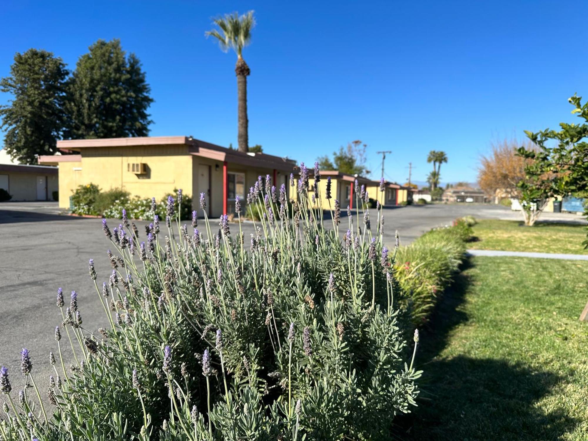 Royal Inn&Suites Hemet Bagian luar foto