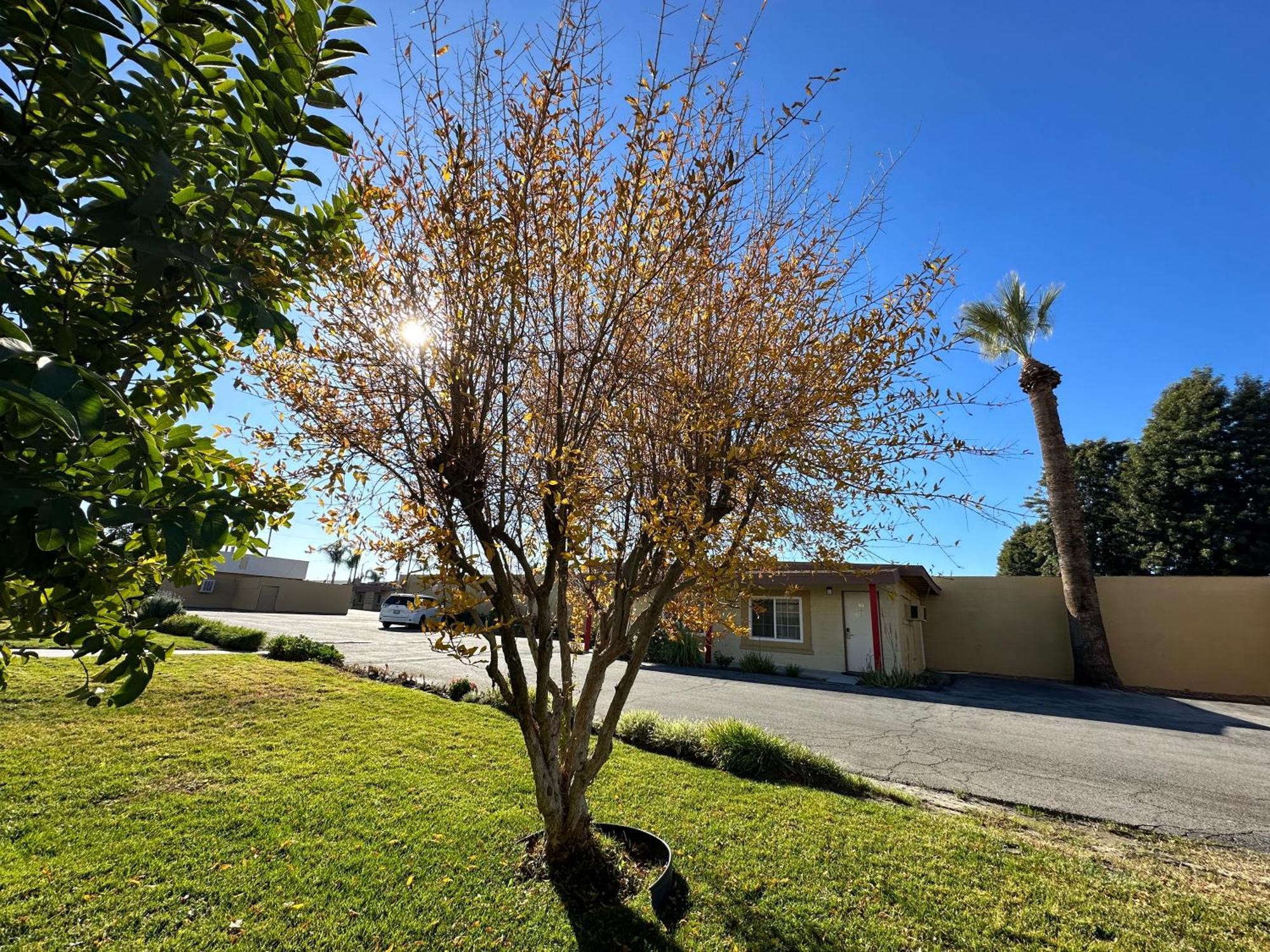 Royal Inn&Suites Hemet Bagian luar foto