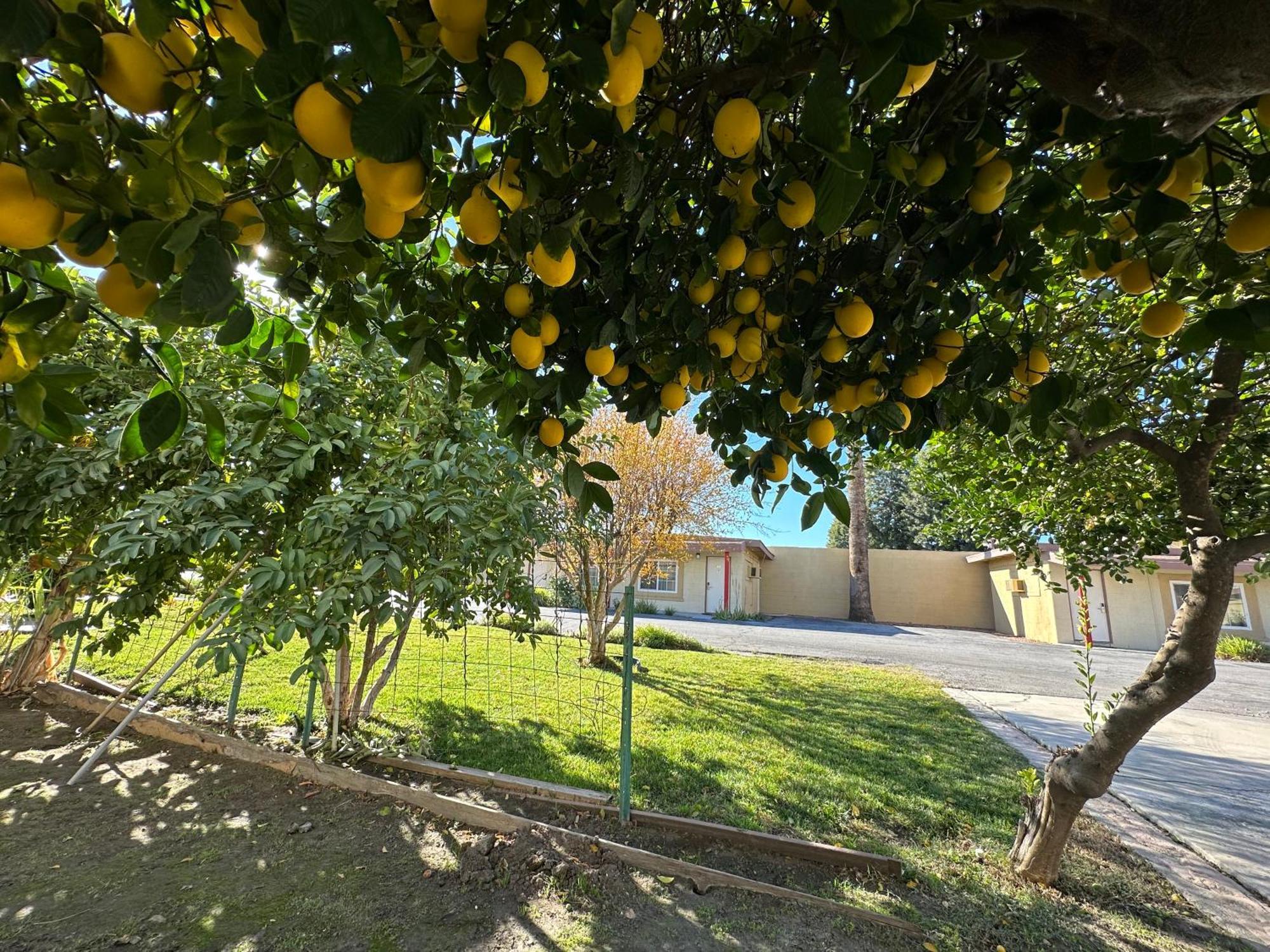 Royal Inn&Suites Hemet Bagian luar foto